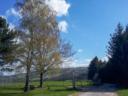 Starting point at the parking lot of the sports field in Pluwig